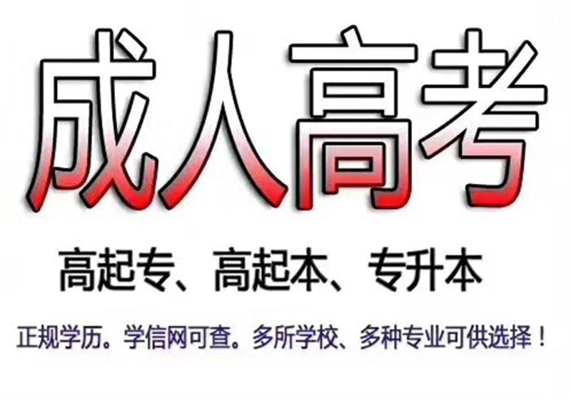 职业技能培训：开启职业新大门